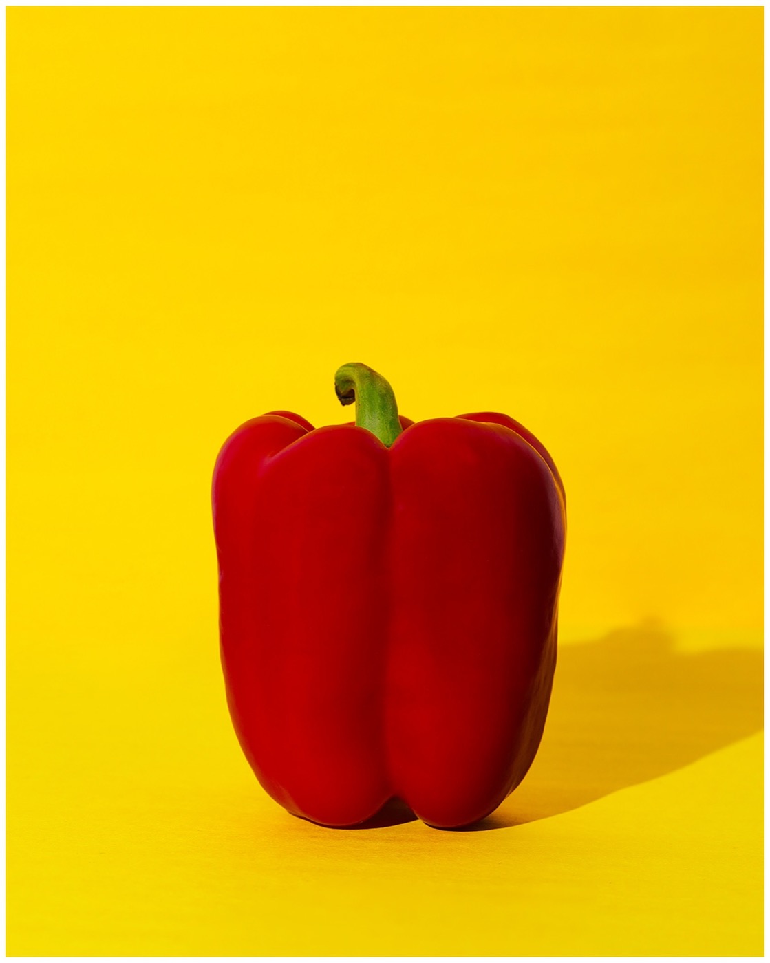 Red bell pepper against a yellow ground